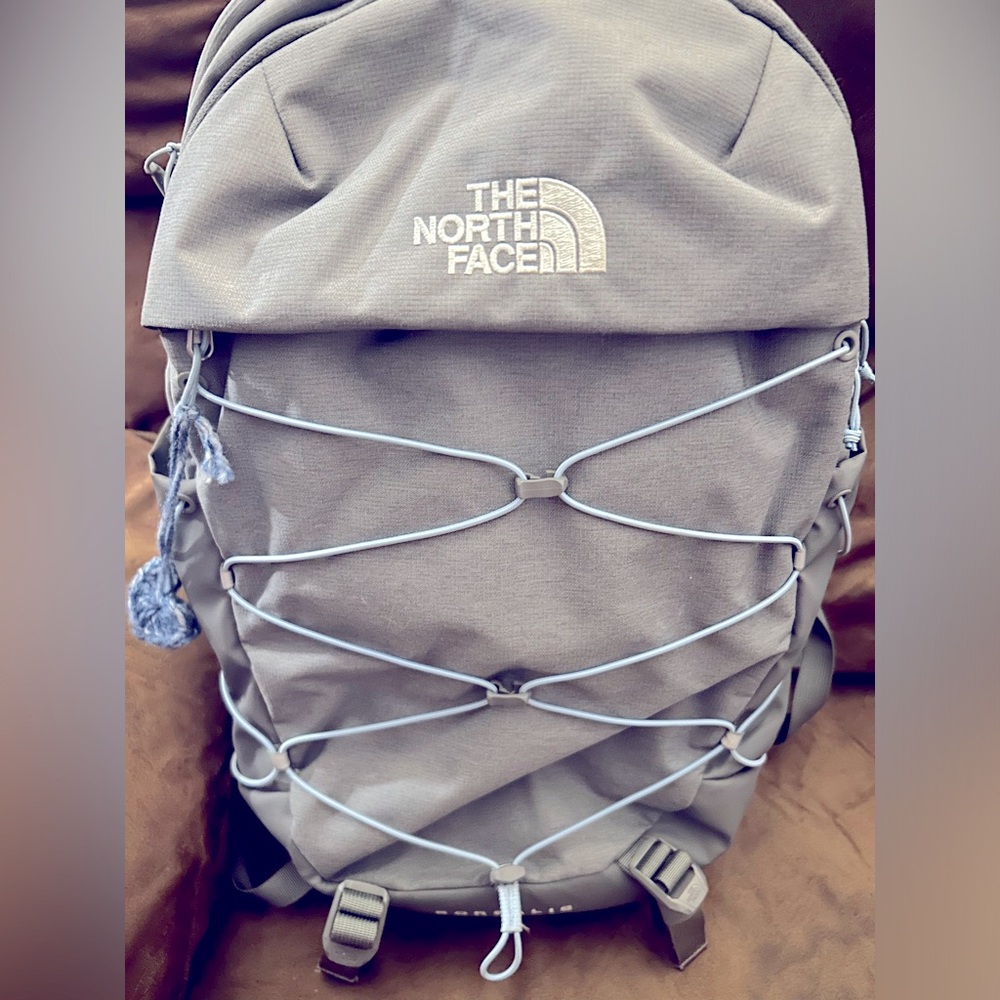 SOLD The North Face Borealis backpack